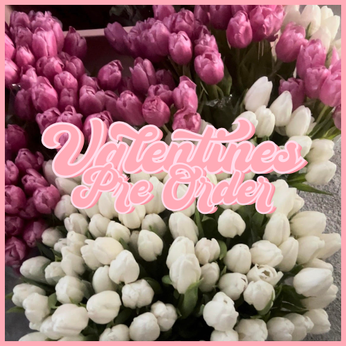 Valentines Pre Order  Peach